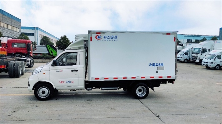 福田祥菱V2小型冷藏车（后双胎）